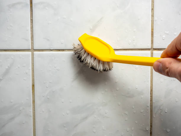 Best Mold Damage Repair  in Redwood Valley, CA