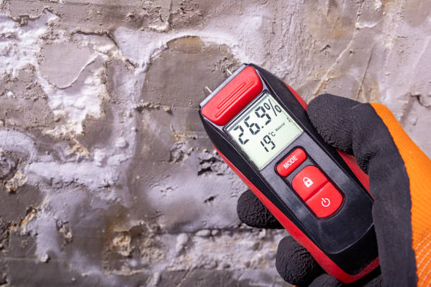 Best Residential Mold Removal  in Redwood Valley, CA