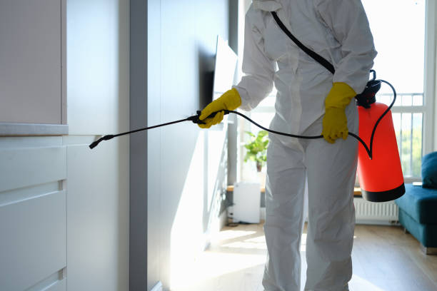 Best Mold Testing  in Redwood Valley, CA