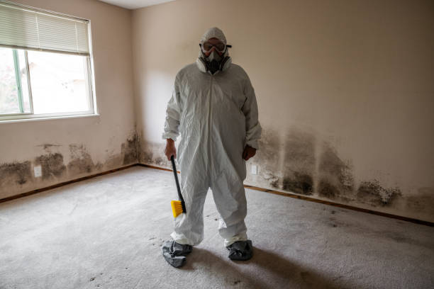 Best Commercial Mold Removal  in Redwood Valley, CA